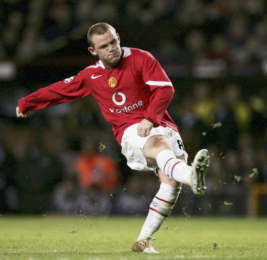 要组成部分 要组成部分